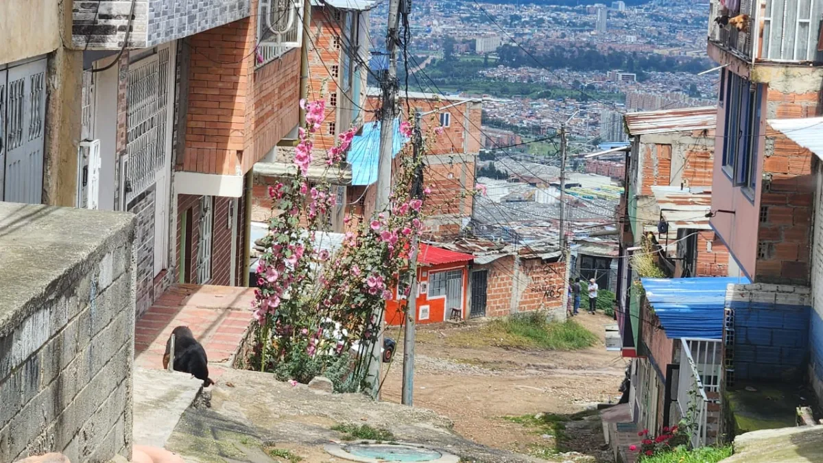 En Ciudad Bolívar: dos personas fueron asesinadas tras ataque a bala 1 En Ciudad Bolívar: dos personas fueron asesinadas tras ataque a bala Un violento suceso en el barrio Santa Viviana, localidad de Ciudad Bolívar, cobró la vida de dos hombres.