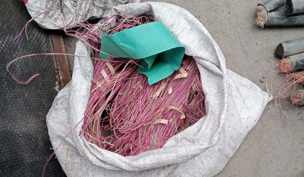 En Chapinero: tres capturados por robo de cableado en transmilenio de la calle 45 La Policía ledio uin golpe a la delincuencia que hace de las suyas en el sistema de transporte TransMilenio. En un operativo realizado en Chapinero fue atrapado un grupo conocido como 'Los Topos' que fueron vistos robando cableado.