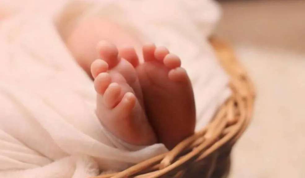 Gran Sorpresa: Madre descubre que sus hijos gemelos tienen diferentes padres Un sorprendente resultado de una prueba de paternidad revela una situación inesperada en el nacimiento de dos gemelos. Su madre descubre que son de diferente padre.
