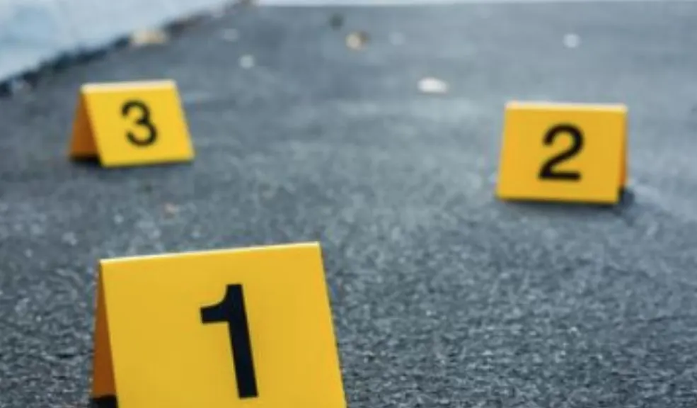 Habitante de calle intentó subir una reja y murió desangrado 1 Habitante de calle intentó subir una reja y murió desangrado Tragedia en la calle: habitante murió desangrado al cortarse con una reja. La muerte ocurrió mientras el hombre intentaba trepar la estructura. Los hechos son materia de investigación.