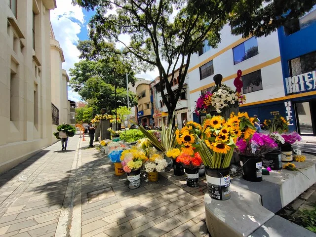 La inversión tecnológica en los municipios mejora su capacidad administrativa y financiera 2 La inversión tecnológica en los municipios mejora su capacidad administrativa y financiera Un informe más reciente revela varios ascensos por modernizaciones en tecnología en algunos municipios del país, lo que favorece su capacidad administrativa. Le contamos.
