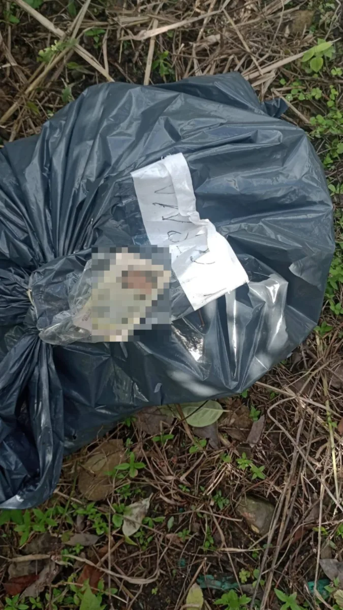 En Anolaima: macabro hallazgo de cuerpo dentro de una bolsa plástica 1 En Anolaima: macabro hallazgo de cuerpo dentro de una bolsa plástica Una profunda consternación sacude al municipio de Anolaima, Cundinamarca, tras el macabro hallazgo del cuerpo de una mujer envuelto en una bolsa plástica en zona rural.