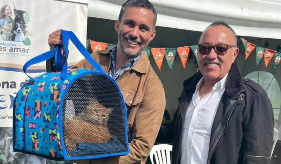 Más de 50 perros y gatos rescatados esperan un hogar en jornadas de adopción navideña 1 Más de 50 perros y gatos rescatados esperan un hogar en jornadas de adopción navideña Más de 50 perros y gatos rescatados esperan encontrar un hogar definitivo y amoroso durante la temporada navideña, gracias a las jornadas de adopción del IDPYBA