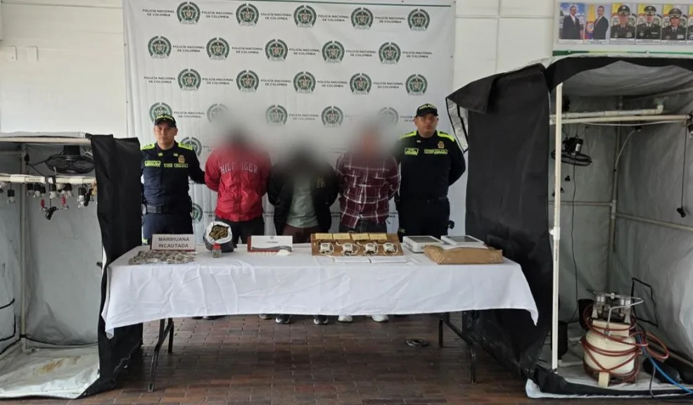 Pillan cultivo hidropónico que sacaba 50 kilos de marihuana al mes en Ciudad Bolívar