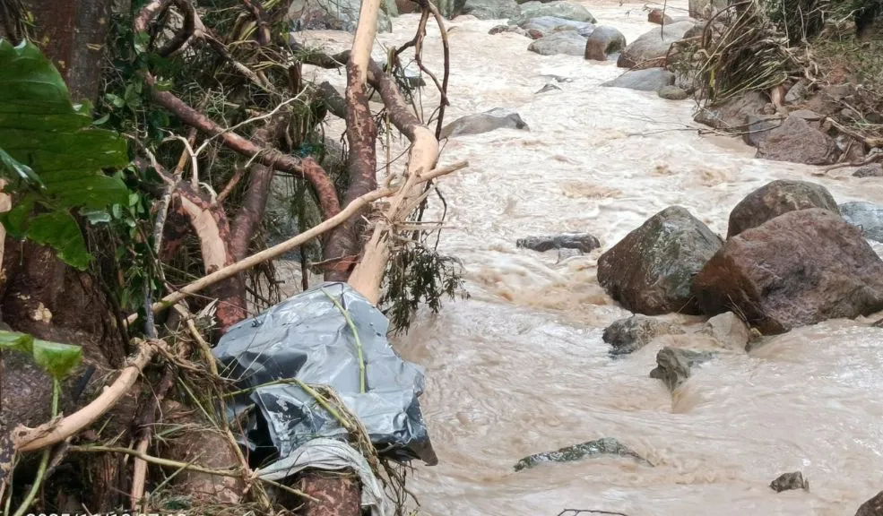 Tragedia en Silvania: creciente súbita se llevó a una familia. Hay un muerto y 3 desaparecidos Tragedia en Silvania, Cundinamarca: fuertes crecientes súbitas arrastraron un vehículo, dejando un muerto y tres desaparecidos. Los organismos de socorro mantienen la intensa búsqueda en la vereda El Hato.