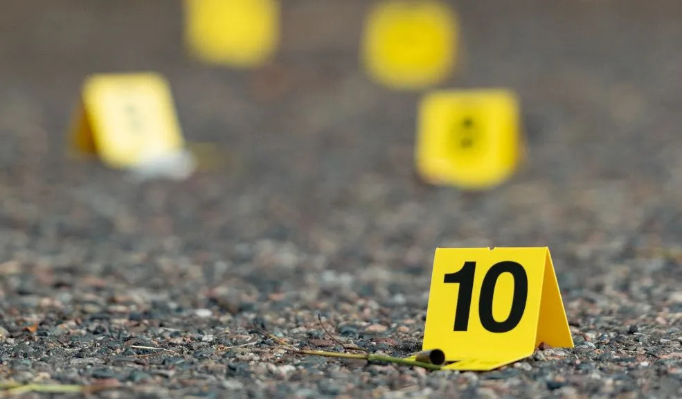 Un hombre mató a su propia madre y su padrastro lo ayudó a ocultarlo 1 madre