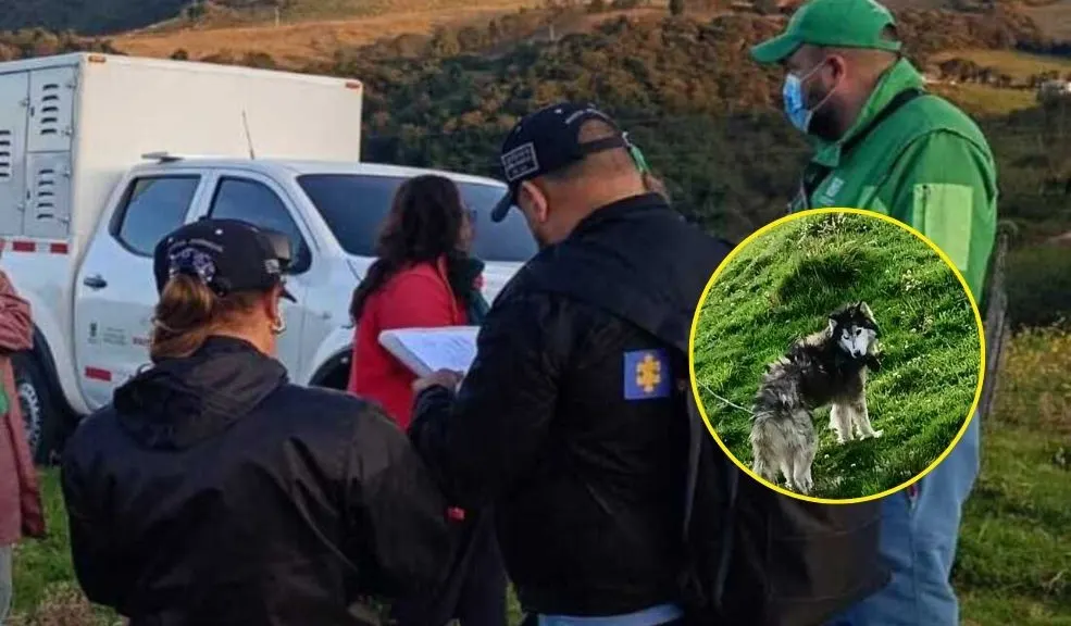 En Ciudad Bolívar: desmantelan criadero clandestino y rescatan a tres perros Un operativo en una zona rural de Ciudad Bolívar permitió desmantelar un criadero clandestino y rescatar a tres perros en condiciones de abandono.