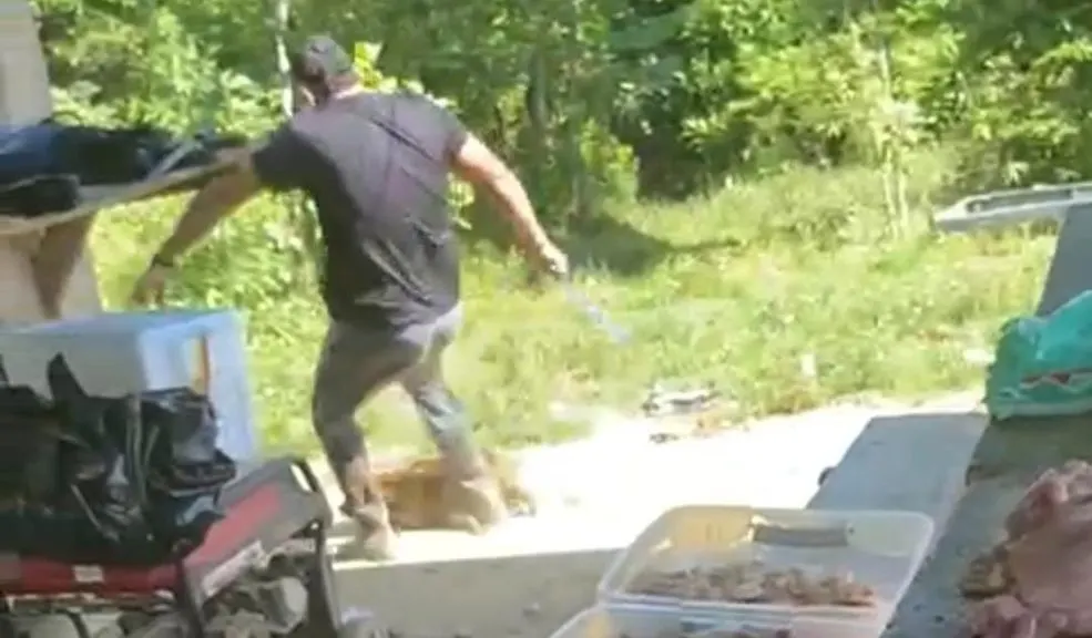 ¡Habrá justicia! Hombre buscado por maltratar a un perrito se entregará 1 ¡Habrá justicia! Hombre buscado por maltratar a un perrito se entregará Tras la difusión del desgarrador video en el que se ve a un hombre maltratando a un perrito, en redes sociales se movió cielo y tierra para dar con su paradero. Gracias al esfuerzo de la ciudadanía y a la recompensa de 50 millones de pesos ofrecida por información, el hombre decidió entregarse a las autoridades para responder por lo ocurrido.