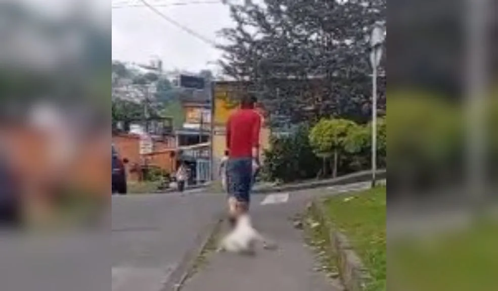 Asesinó y arrastró a su perro: el padre del agresor murió de un infarto al enterarse En redes sociales circuló el desgarrador momento en que un hombre arrastró a su perro muerto por las calles del barrio San Cayetano, en Manizales. Según se conoció, momentos previos lo había asfixiado cuando estaba atacando a un perro más pequeño. A esta tragedia se sumó que el padre del agresor murió de un infarto tras conocer lo sucedido.
