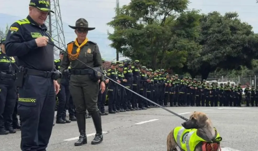 Bizcocho, el perrito maltratado por su amo, ya tiene nuevo hogar y una familia numerosa La historia de Bizcocho, el perro que conmovió al país tras recibir una brutal golpiza de su antiguo dueño por haber tomado un pedazo de carne, tuvo un final feliz. Ahora tiene una familia nueva y numerosa; le contamos quiénes lo cuidarán.
