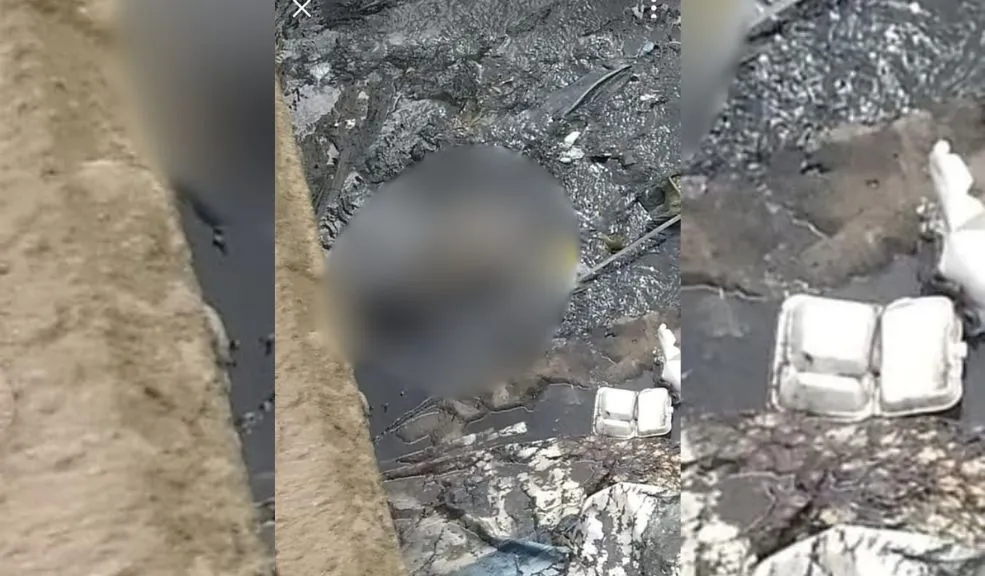 Bosa: hallan cuerpo sin vida debajo del puente de San José 2 Bosa: hallan cuerpo sin vida debajo del puente de San José Debajo del puente vehicular que conecta Bosa San Bernardino con Bosa San José fue hallado, en las últimas horas, el cuerpo sin vida de una persona en medio de una zanja que contiene agua, barro y basura.