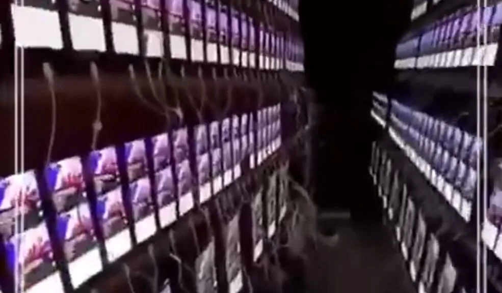 Cayó ‘granja de visualizaciones’ que fingía el éxito de artistas en YouTube Llegar a la viralidad y volverse famoso en redes sociales de manera orgánica se ha convertido en uno de los objetivos más perseguidos en la actualidad. Sin embargo, en el mundo existen las llamadas ‘granjas de visualizaciones’, que son usadas para aumentar las interacciones en las plataformas digitales. En las últimas horas, una de ellas fue descubierta durante un operativo policial en Brasil.