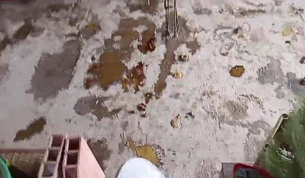 Ciudad Bolívar: denuncian malos olores y cuidados precarios en presunta fundación de perritos Habitantes del barrio El Paraíso Mirador, en la localidad de Ciudad Bolívar, se encuentran cansados y preocupados ante las condiciones precarias en las que una presunta fundación tiene alrededor de 10 a 15 perritos. Denuncian que la falta de aseo está afectando las viviendas y la salud de las personas, así como que las criaturas no paran de aullar y que ya han ocurrido varios accidentes.
