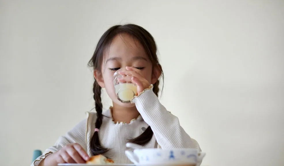 Cuide a su familia: evite consumir esta leche en polvo falsificada El Invima emitió una alerta para que las familias dejen de consumir un lote de leche en polvo falsificada, la cual puede poner en riesgo a las personas por el desconocimiento del contenido real.