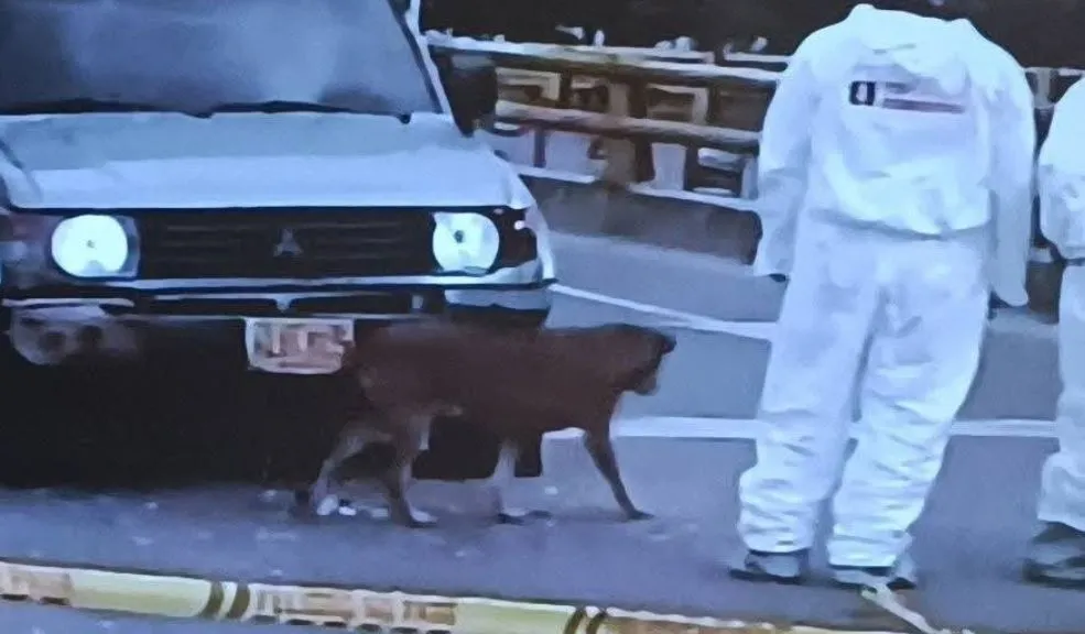 En Santa Fe: balacera durante persecución dejó el saldo de un muerto En la mañana de este miércoles 24 de diciembre, una violenta persecución que atravesó gran parte de la ciudad terminó en un trágico tiroteo en la localidad de Santa Fe.