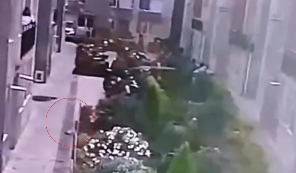 En video: mujer habría lanzado a una perrita desde un balcón en Bosa 1 En video: mujer habría lanzado a una perrita desde un balcón en Bosa En cámaras de seguridad quedó registrado un grave caso de maltrato animal en un conjunto residencial del barrio El Porvenir, en la localidad de Bosa. En las imágenes se observa a una mujer arrojar con fuerza a una perrita desde un balcón contra el suelo.