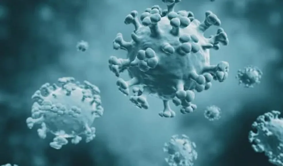 Gripe H3N2 subclado K llega a Colombia: primer caso confirmado 1 h3n2
