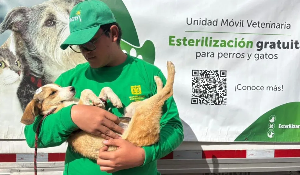 Habilitan 7.000 esterilizaciones gratis en diciembre sin cita previa Bogotá puso en marcha 7.000 esterilizaciones gratuitas para perros y gatos en diciembre, sin necesidad de agendar y con atención por orden de llegada en puntos fijos y unidades móviles en distintas localidades. Conozca los detalles.
