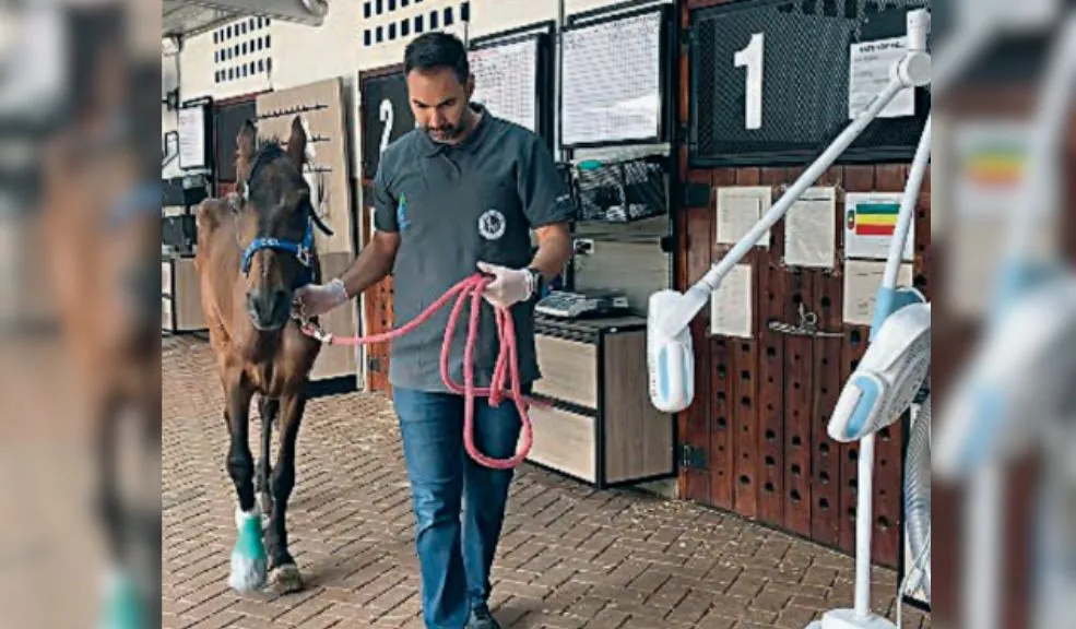 Jhonny Rivera ayudó a un caballo a salvarse de la muerte 1 Jhonny Rivera ayudó a un caballo a salvarse de la muerte Le contamos cómo el cantante de música popular Jhonny Rivera intervino para salvar la vida de Fénix, un caballo que fue hallado en un grave estado de salud en Risaralda.