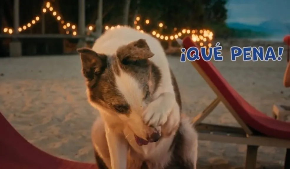 La película que nunca falla en cada diciembre: llega ‘El Paseo 8’ Aunque la crítica especializada suele no darle sus mejores calificaciones, la serie de películas 'El Paseo' es la saga más querida y taquillera en la historia del cine colombiano.