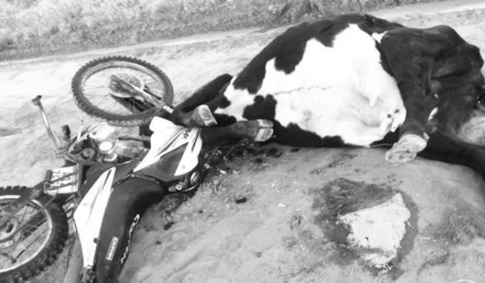 Leidis Beleño murió tras estrellarse contra una vaca Familiares de Leidis Beleño están inmersos en la tristeza tras conocer su trágica muerte en la carretera. La mujer, quien se desplazaba en motocicleta, falleció luego de chocar contra una vaca. Los detalles.