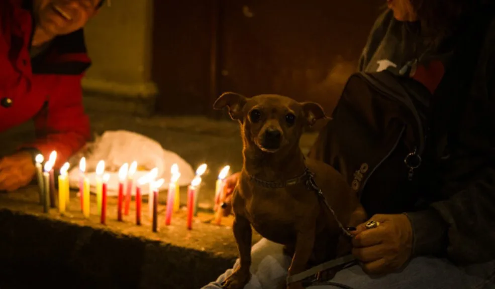 Lo que hay detrás de la tradicional Noche de Velitas en Colombia Llegó una fecha que, particularmente para los colombianos, nos conecta cada vez más con la Navidad y el cierre de año. El 7 de diciembre, conocido como Noche de las Velitas, es cuando varias familias se reúnen alrededor de las velas para manifestar sus deseos para el nuevo año. Por eso, vamos a profundizar un poco en sus orígenes y en la simbología de este ritual.