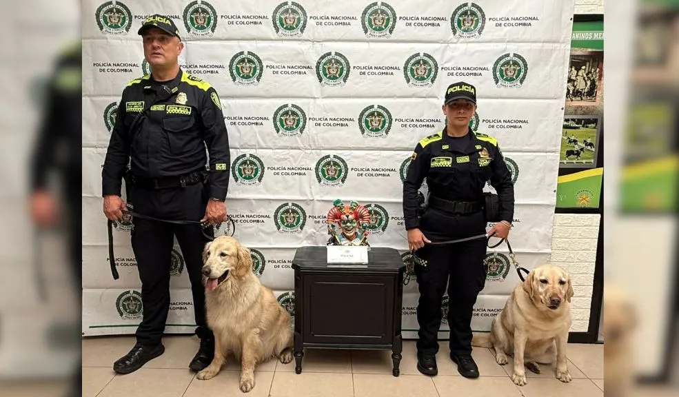 Caninos detectaron más de 3 kilos de cocaína ocultos en una escultura que venía desde Pasto Unidades de la Policía Metropolitana de Bogotá, con apoyo de los caninos Rocco y Lastra, lograron interceptar un envío internacional de droga oculto en una encomienda de mensajería terrestre.