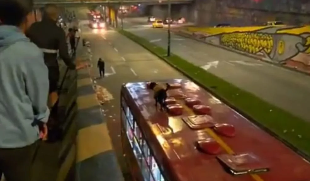 'Firulais' se subió encima de un Transmilenio: vídeo causa ternura