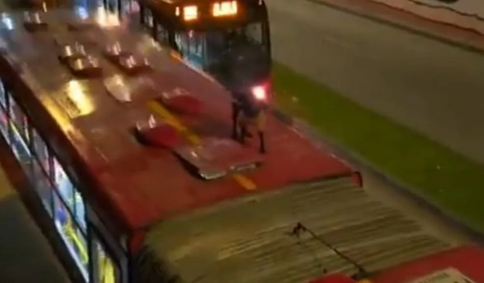'Firulais' se subió encima de un Transmilenio: vídeo causa ternura 