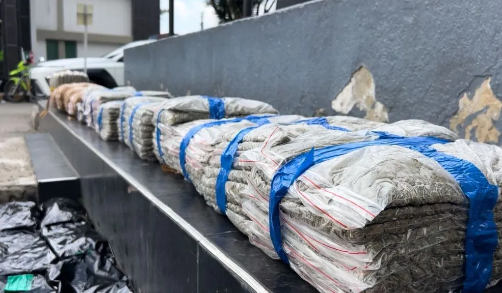 En Kennedy: capturan a joven con 560 kilos de marihuana en un vehículo 2 En Kennedy: capturan a joven con 560 kilos de marihuana en un vehículo Lo que inicialmente parecía la atención de un siniestro vial rutinario en el barrio Providencia, terminó revelando un importante cargamento de estupefacientes.