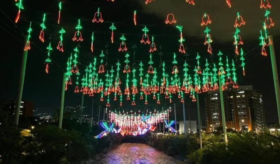 Si no sabe qué hacer en diciembre, aquí tiene 670 planes para disfrutar en Bogotá 1 Si no sabe qué hacer en diciembre, aquí tiene 670 planes para disfrutar en Bogotá Bogotá se alista para vivir 18 días de programación cultural con 670 planes y más de 4.300 artistas que llegarán a parques, plazas, barrios y cuadras entre el 5 y el 23 de diciembre.