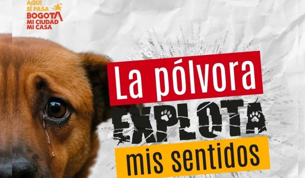 Una Navidad diferente para los peluditos: el Distrito lanza nuevas campañas de protección animal La época navideña es una de las más alegres para los colombianos, pero en muchas ocasiones se olvida el impacto que tienen nuestras acciones en los animales. Es por ello que el Distrito implementará tres campañas para que la Navidad de los peluditos sea diferente e igual de alegre.