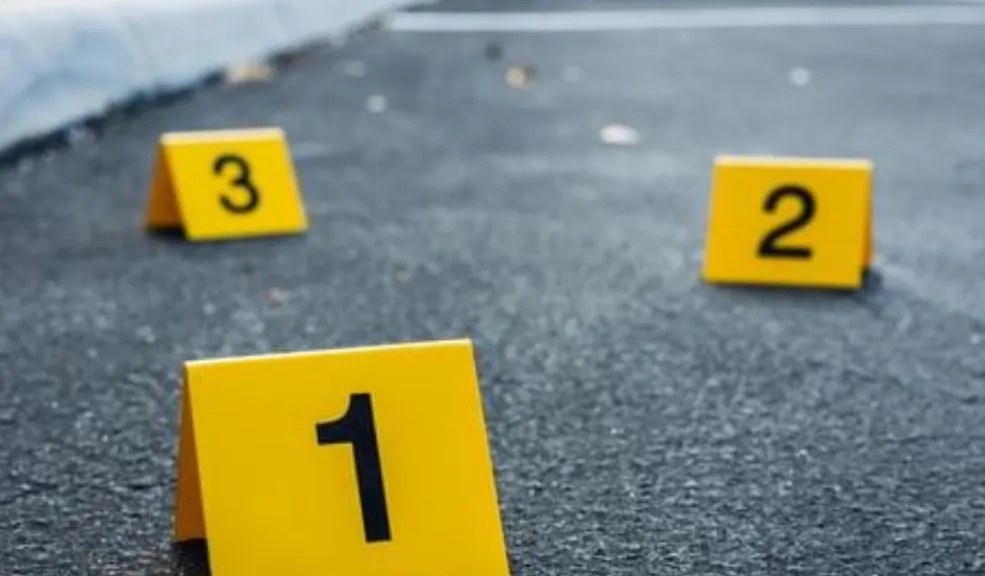 Una mujer sería la responsable de la muerte de las menores por intoxicación con frambuesas 1 Una mujer sería la responsable de la muerte de las menores por intoxicación con frambuesas La Fiscalía General de la Nación descubrió que una mujer estaría detrás de la intoxicación con talio que cobró la vida de dos menores en Bogotá. Hay una orden de captura en su contra.
