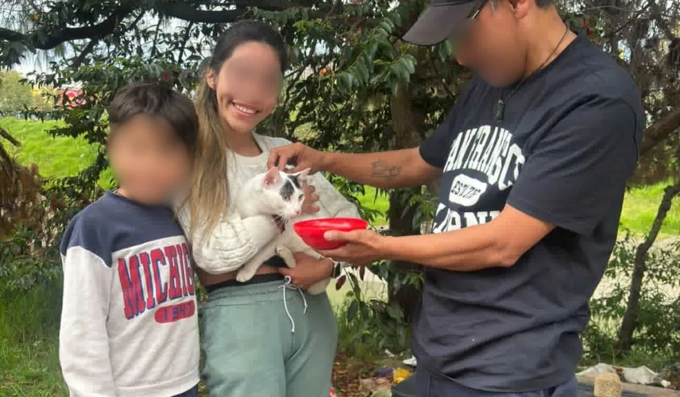 En Marsella abandonaron a un gatito a orillas de un caño, dentro de una caja A pesar de que hoy se marca el inicio de las celebraciones de Navidad y la unión familiar, dos sujetos que se desplazaban en una motocicleta decidieron abandonar a uno de los integrantes de su hogar. En una caja y a la orilla del caño que pasa por Marsella, en Kennedy, arrojaron a un gatito a su suerte. Sin embargo, gracias al buen corazón de una familia, este peludito tendrá una nueva oportunidad.