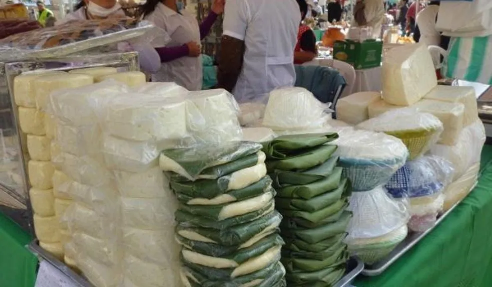 ¡Queso del campo a su mesa! : aproveche la última 'Quesatón' del año Si entre las compras para la cena navideña tiene en mente incluir un delicioso queso, aproveche que los campesinos se desplazarán hasta la ciudad para brindarle un producto fresco y delicioso en la última ‘Quesatón’ del año.