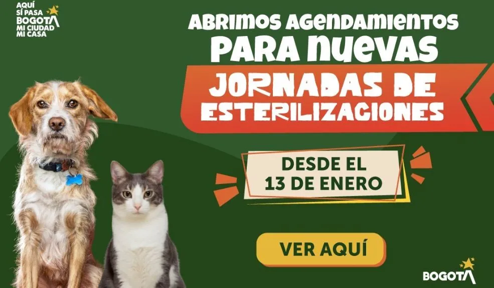 Bogotá abre 1.700 cupos gratuitos de esterilización para perros y gatos desde el 13 de enero 1 esterilización