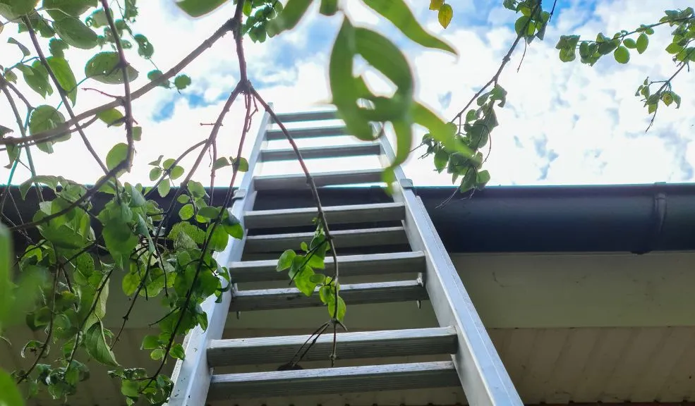 Comerciante murió tras caer de una escalera en su casa Un arreglo doméstico terminó en tragedia. Un comerciante cayó de una escalera y, tras dos días de lucha, perdió la vida.