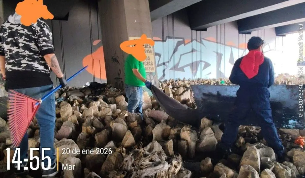 En Puente Aranda: centenares de cráneos de perros fueron hallados bajo un puente 1 En Puente Aranda: centenares de cráneos de perros fueron hallados bajo un puente En la localidad de Puente Aranda se dio un perturbador descubrimiento durante un operativo de limpieza de múltiples lonas que ocultaban lo que inicialmente se describió como centenares de cráneos de mamíferos.