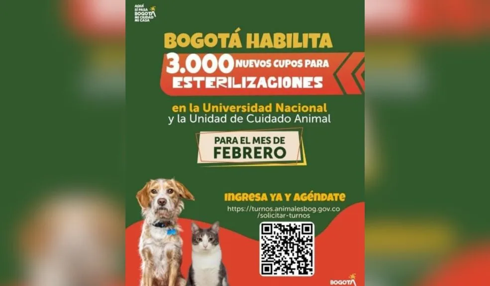 Evite la sobrepoblación de animales: abren 3.000 cupos de esterilización 2 Evite la sobrepoblación de animales: abren 3.000 cupos de esterilización Una manera de combatir la sobrepoblación animal y demostrar el amor hacia estas criaturas es la esterilización. Es por ello que, para este mes de febrero, se abrieron 3.000 cupos que se pueden agendar desde ya.