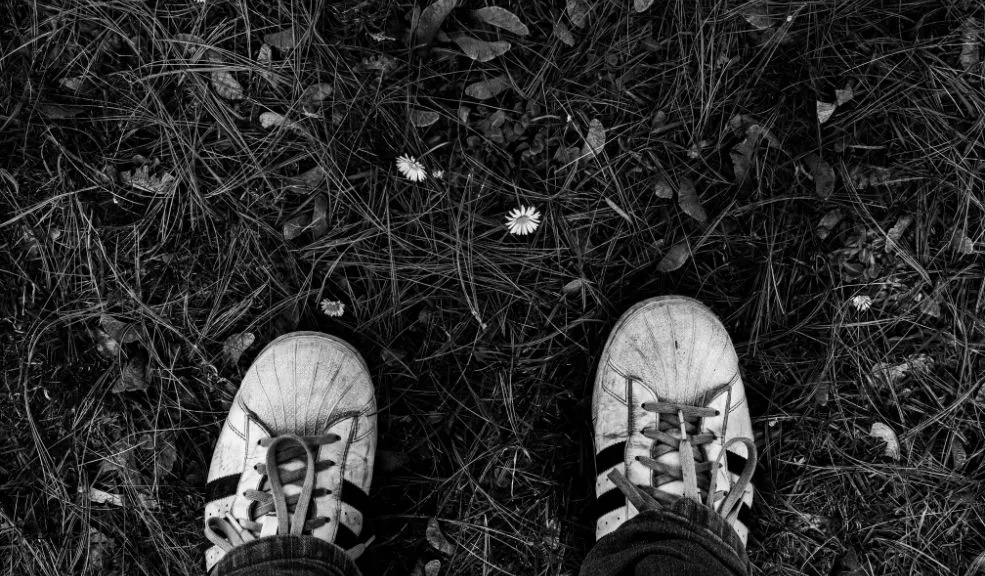 Por robar unos zapatos lo mataron 1 Por robar unos zapatos lo mataron El robo de unos zapatos desató una riña mortal. Un joven fue asesinado en plena calle por un hombre conocido como ‘Ratón’.