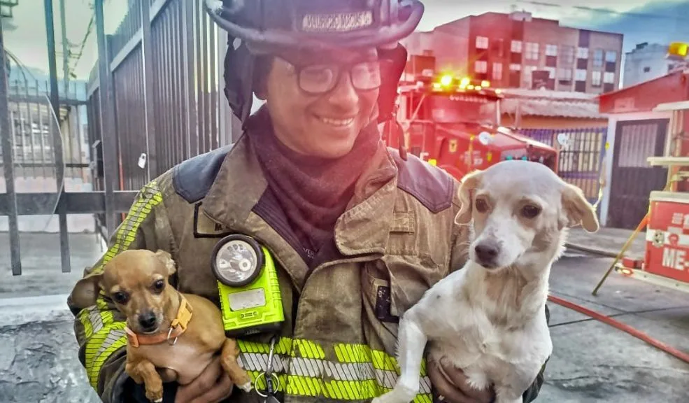 Suba: incendio en una carpintería dejó un herido y dos peluditos rescatados Las intensas llamas y el humo que empezó a correr por las calles de la localidad de Suba alertaron a la comunidad sobre una emergencia que se registraba en plena madrugada.