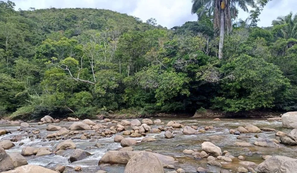 Avalancha en Silvania: confirman hallazgo del cuerpo de Ana Lucía Villota 2 Avalancha en Silvania: confirman hallazgo del cuerpo de Ana Lucía Villota