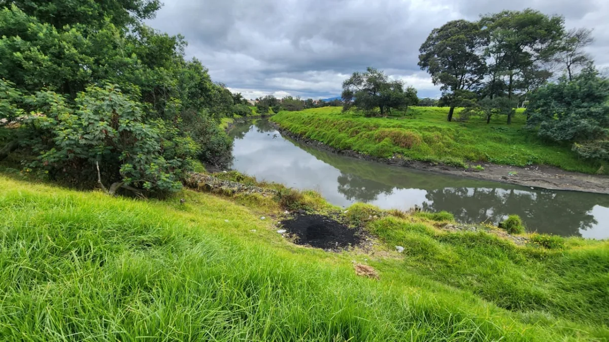 Terrorífico hallazgo en Suba una perrita apareció calcinada a orillas del río Bogotá