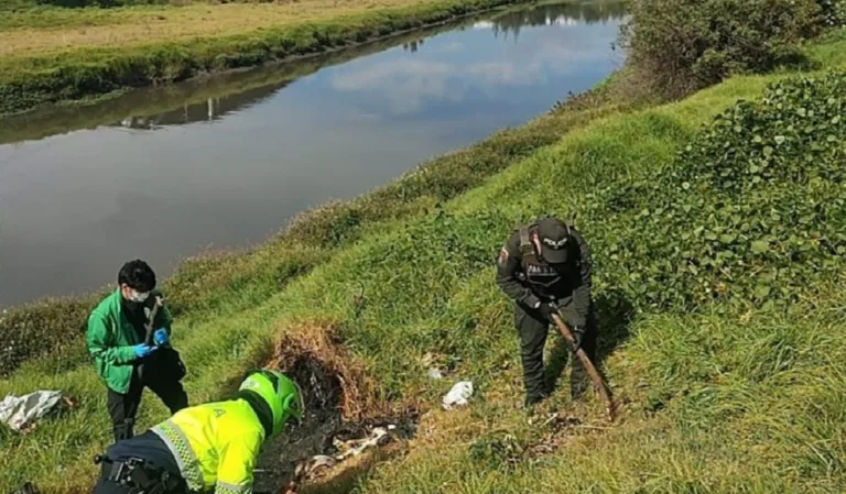 Terrorífico hallazgo en Suba una perrita apareció calcinada a orillas del río Bogotá