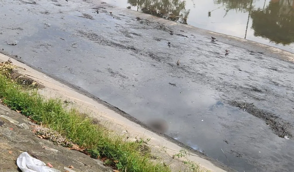 ¡Atención! Hallan restos humanos en un río de Barrios Unidos La alerta inicial surgió en redes sociales a través de un video aficionado que mostraba un brazo flotando en el río Arzobispo.