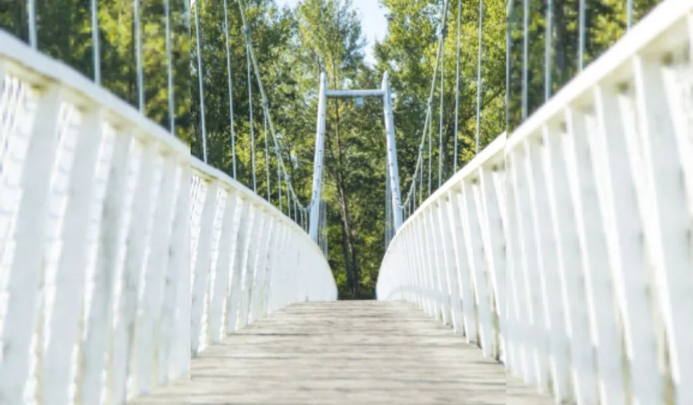 ¡Atención ciclistas! Esta es la multa por cruzar un puente peatonal en bicicleta Aunque en la capital esté normalizado que los ciclistas transiten por los puentes peatonales en bicicleta, esta es una infracción por la cual pueden ser multados.