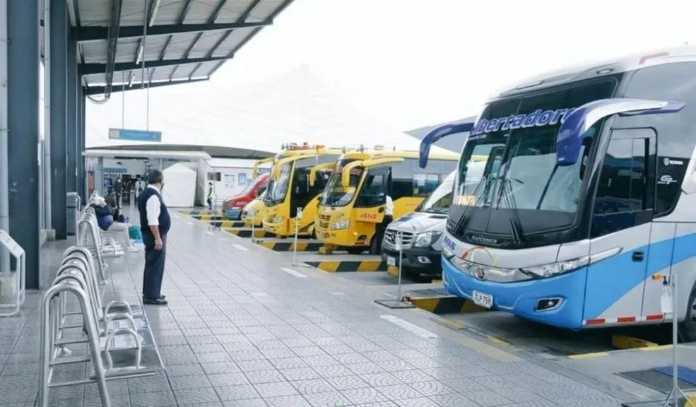 buses