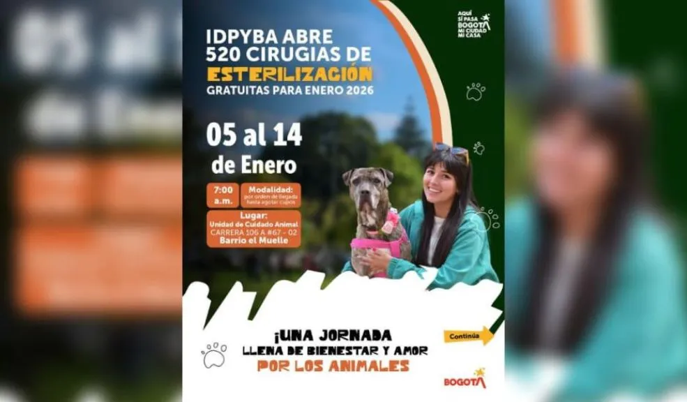 ¿Quiere esterilizar a su mascota? Habilitan 520 cirugías para perros y gatos en Engativá ¡Atención, Engativá! El IDPYBA abrió 520 cupos para esterilizar a sus perros y gatos. Aquí le contamos cuáles son los requisitos y cómo participar en esta jornada.