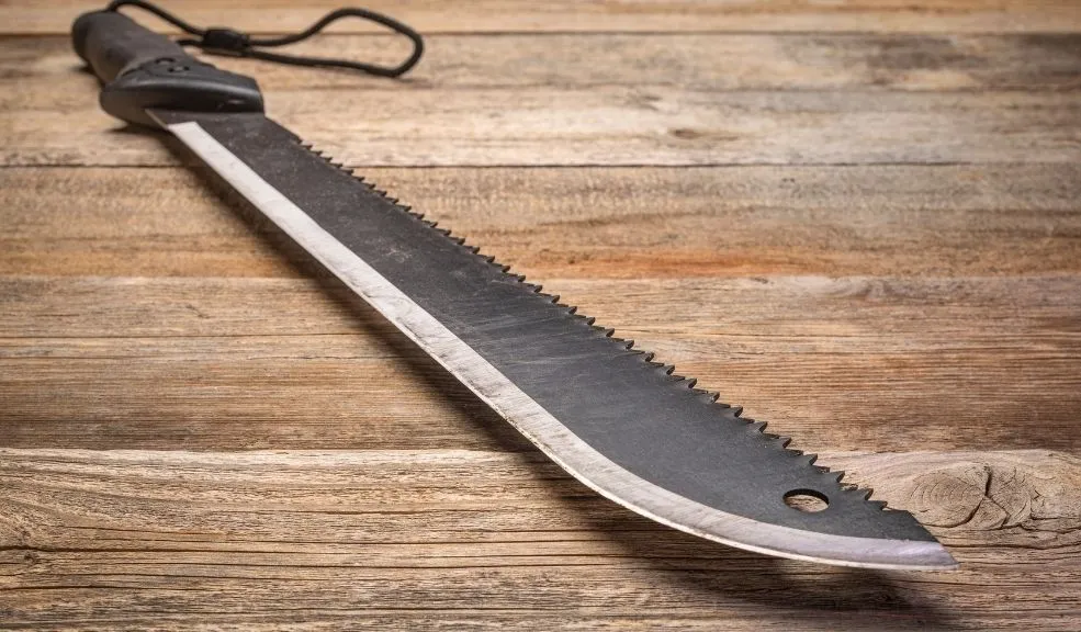 ‘Niño’ fue atacado a machete y lucha por su vida 2 atacado