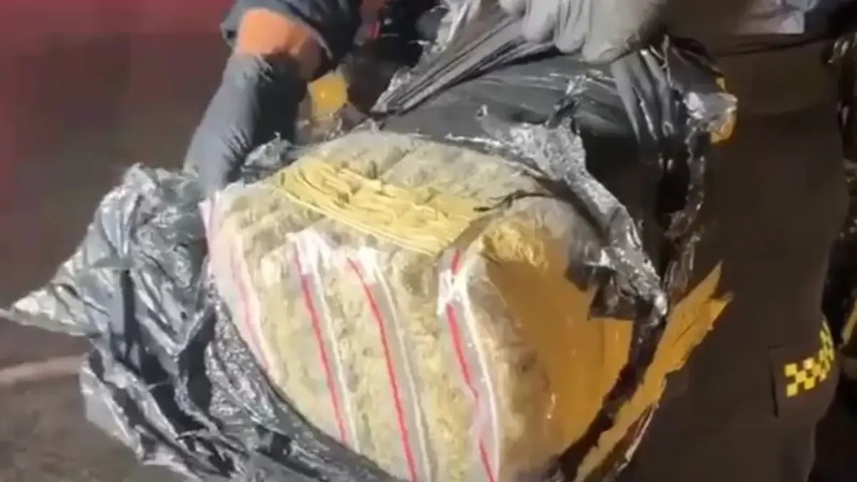 Agarraron carro con 'sobrecupo' de marihuana 1 Agarraron carro con 'sobrecupo' de marihuana En medio de los contundentes golpes que las autoridades colombianas vienen dando a la incautación de narcóticos como estrategia para debilitar una de las principales fuentes de ingresos de los grupos al margen de la ley, en las últimas horas se reportó un impresionante decomiso de marihuana.